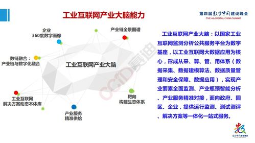 賽迪院長張立發布工業互聯網產業大腦平臺1.0及大數據應用白皮書，引領工業互聯網數據服務新浪潮